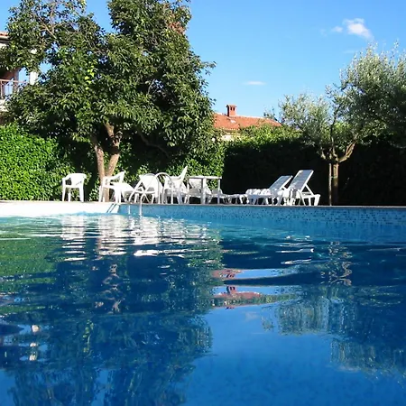 - Lavanda 4 *